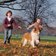 a promo shot from the 2005 version of Lassie